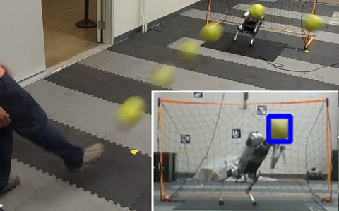 Creating a Dynamic Quadrupedal Robotic Goalkeeper with Reinforcement Learning