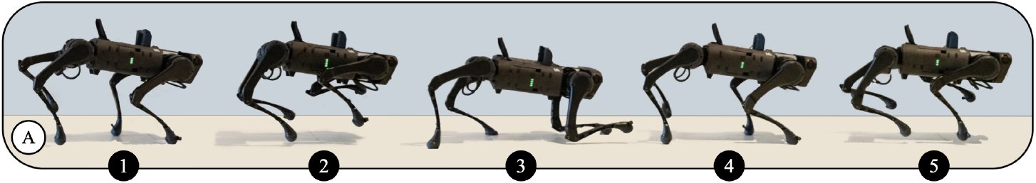 Adversarial Motion Priors Make Good Substitutes for Complex Reward Functions