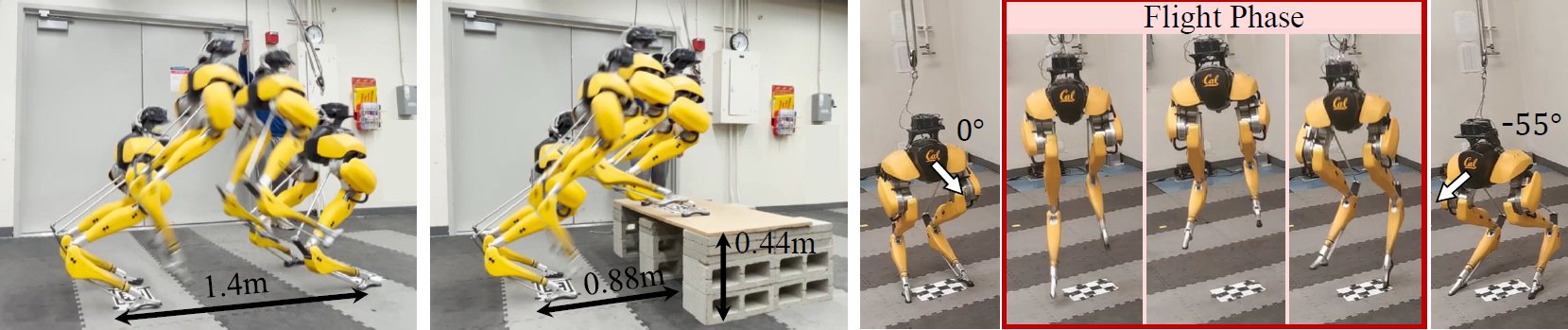 Robust and Versatile Bipedal Jumping Control through Reinforcement Learning