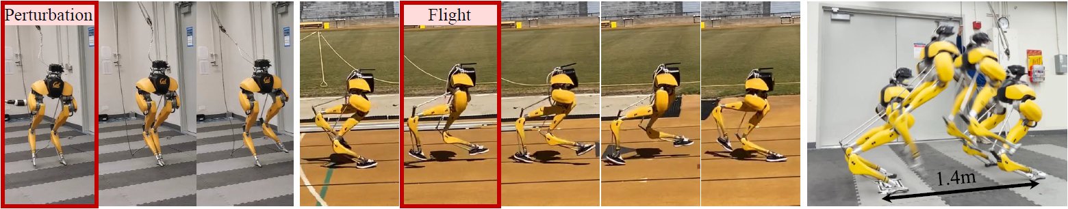 Reinforcement Learning for Versatile, Dynamic, and Robust Bipedal Locomotion Control