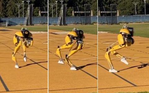 Reinforcement Learning for Versatile, Dynamic, and Robust Bipedal Locomotion Control