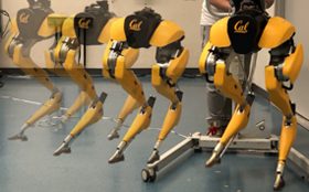 Reinforcement Learning for Robust Parameterized Locomotion Control of Bipedal Robots