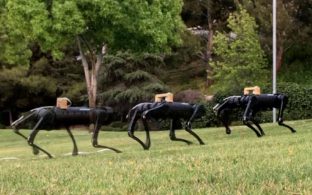 Legged Robots that Keep on Learning: Fine-Tuning Locomotion Policies in the Real World