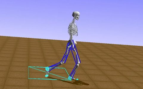 Deep Reinforcement Learning for Modeling Human Locomotion Control in Neuromechanical Simulation