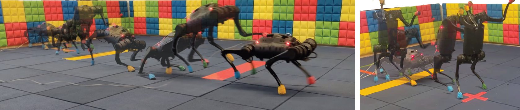 Learning and Adapting Agile Locomotion Skills by Transferring Experience