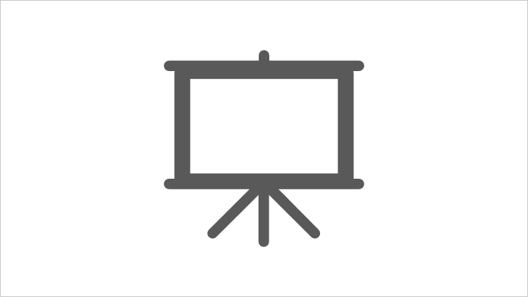 Domain Transfer, Project Presentations